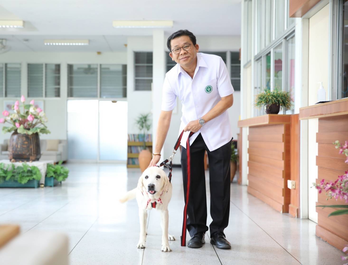  “สุนัขบำบัด” เยียวยาจิตใจ ให้ผู้ป่วยมะเร็งระยะสุดท้าย