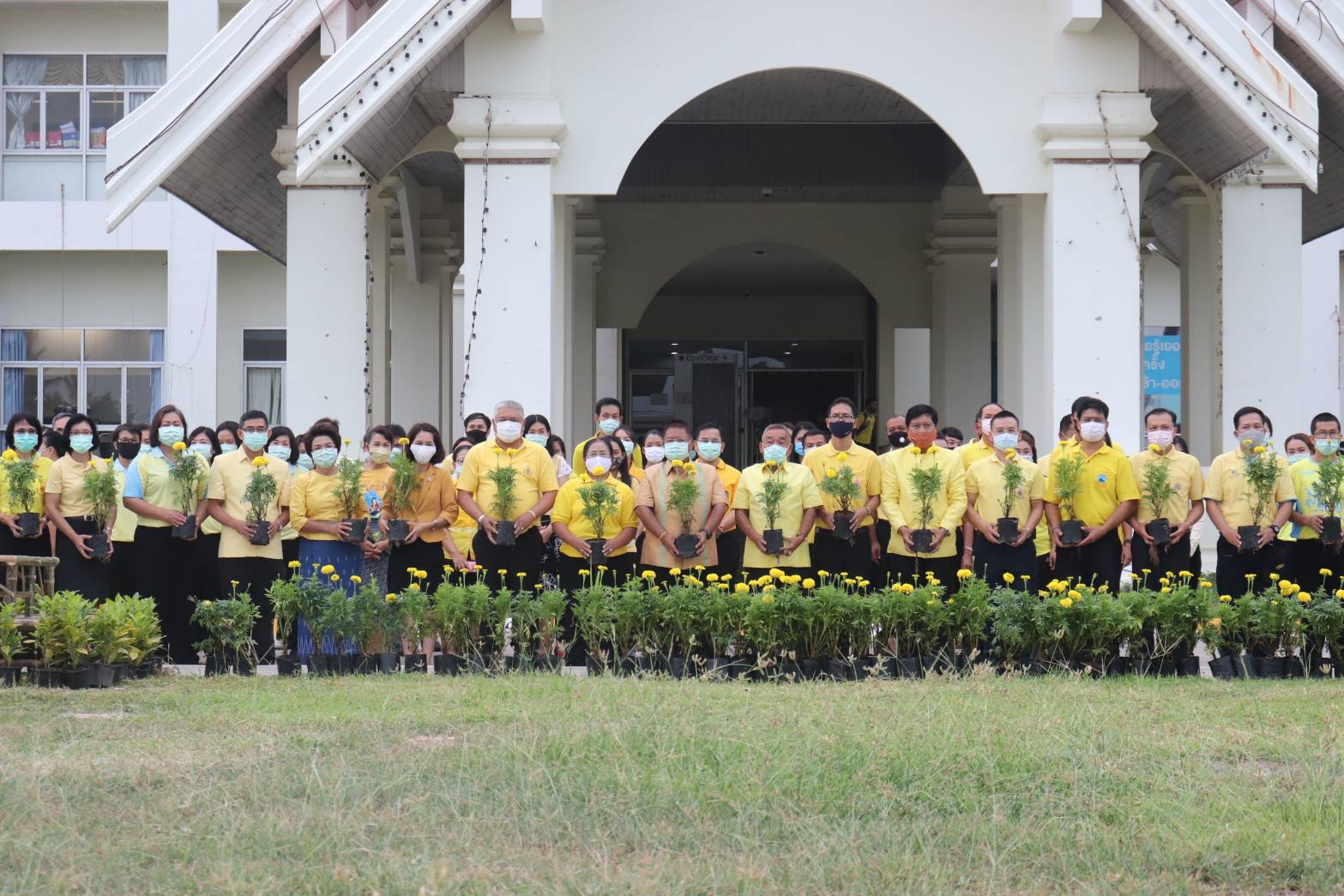 จังหวัดอุบลราชธานีจัดกิจกรรมประดับดอกดาวเรือง เฉลิมพระเกียรติพระบาทสมเด็จพระเจ้าอยู่หัว