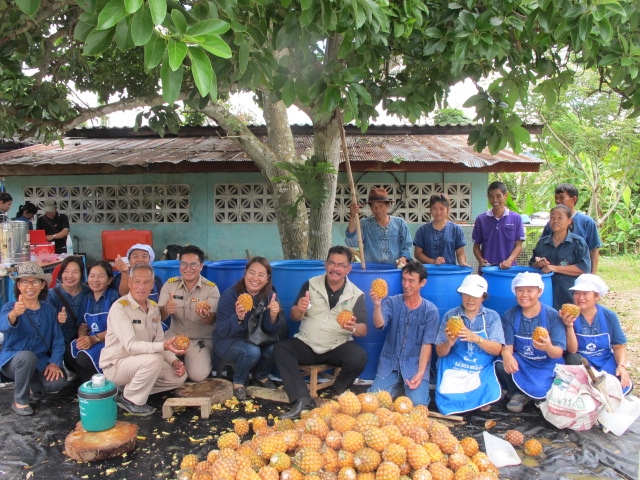 “โครงการ 9101”เชียงราย ยกคุณภาพสินค้า แปรรูปสับปะรด-ปลูกผักปลอดสารพิษ