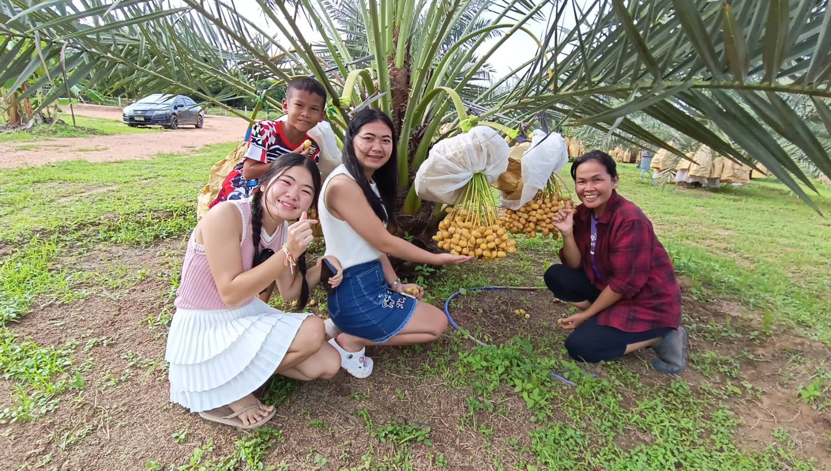 ครูชัยภูมิใช้ชีวิตก่อนเกษียณฯปรับพื้นที่ไร่มันปลูกอินทผาลัมส่งขายออนไลน์สร้างรายได้ต่อเดือนกว่า 70,000 บาท