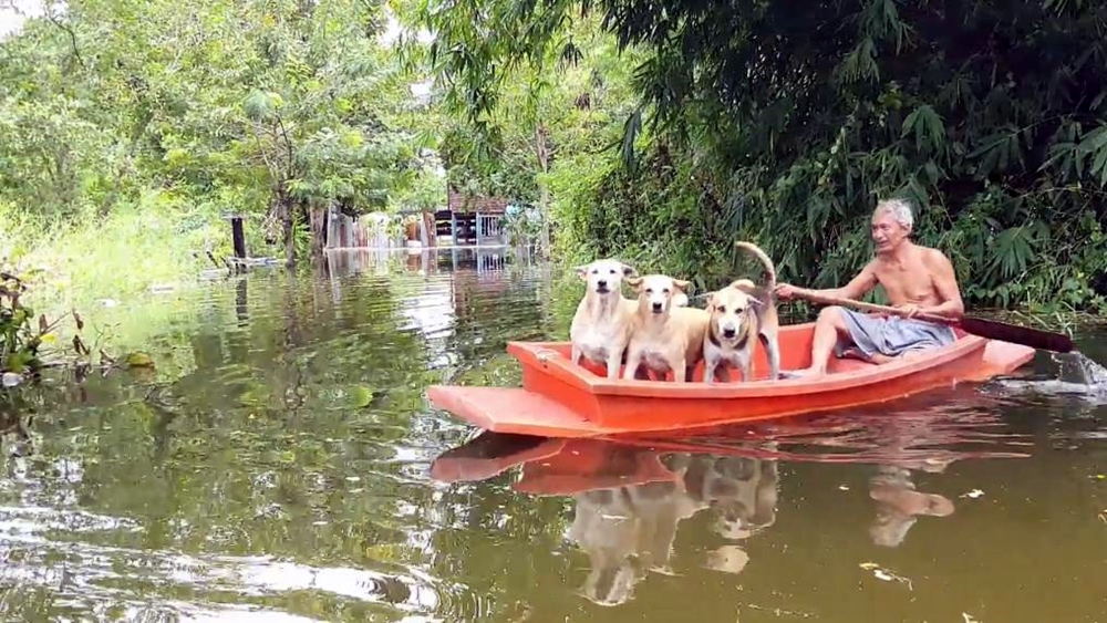 น้ำท่วมซ้ำซาก!! ชาวบ้านครัวอ่วม น้ำสูงเกือบ 2 เมตร วอนหน่วยงานช่วยผู้ป่วยติดเตียง