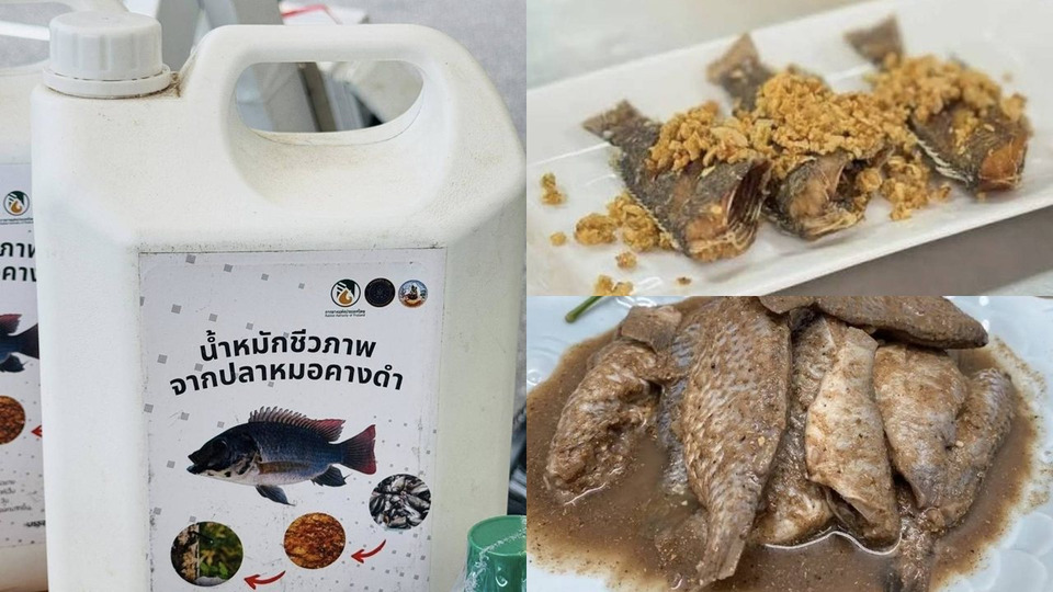 สานพลัง...จัดการสัตว์ต่างถิ่นด้วยนวัตกรรมแปรรูป