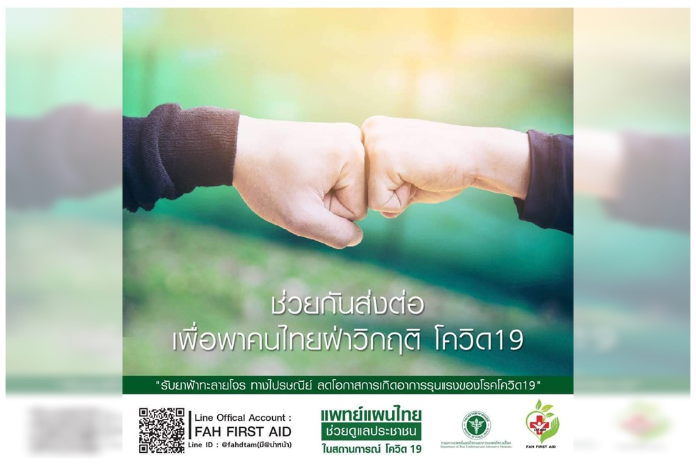 ข่าวดี!ผู้ป่วยโควิด-ผู้เสี่ยงสูง กรมการแพทย์แผนไทยเปิดลงทะเบียนรับฟ้าทะลายโจรฟรี