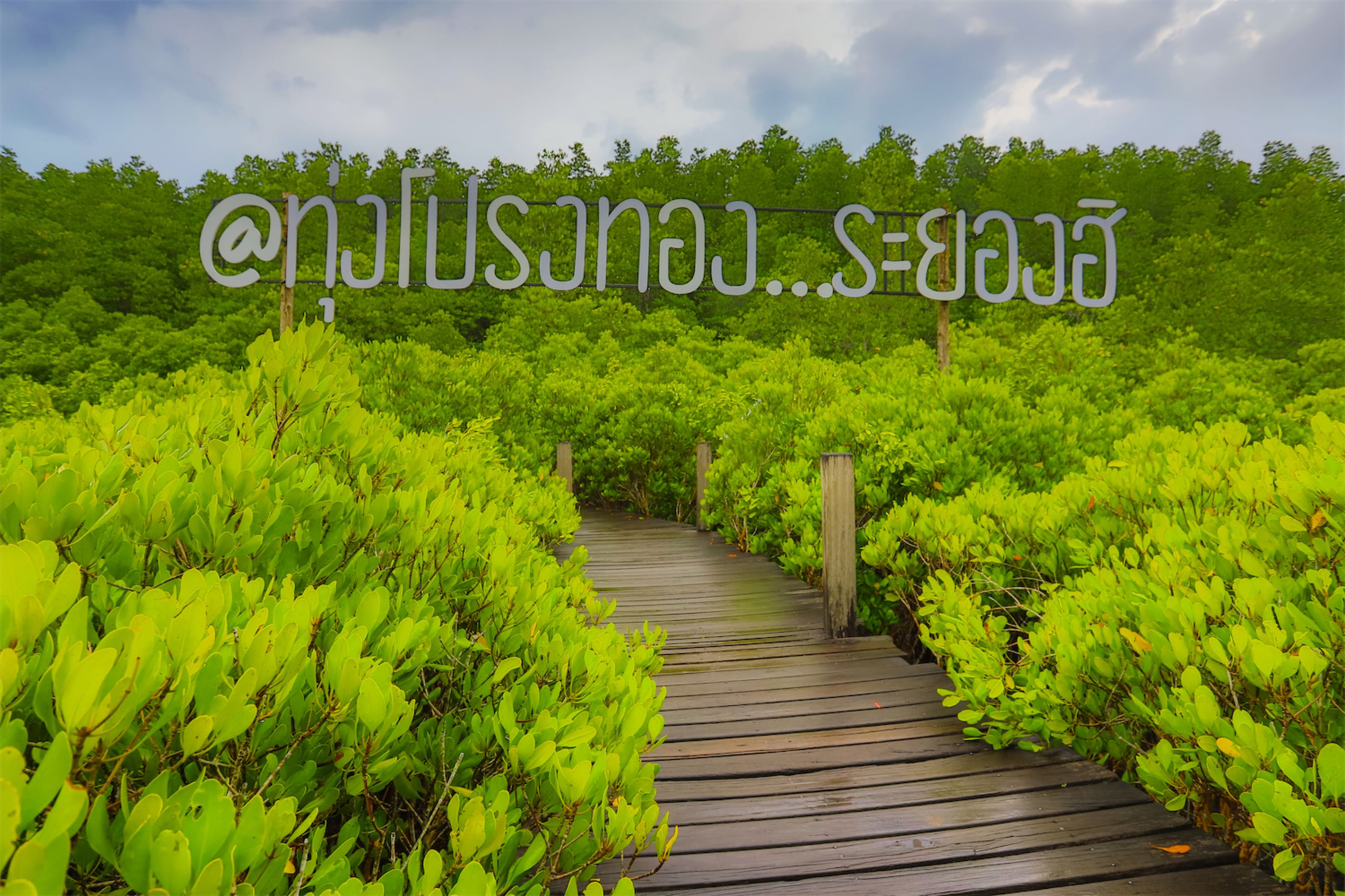 “แกลงโมเดล” Low Carbon Tourism ชวนคุณมาฟื้นฟูสิ่งแวดล้อมด้วยกัน