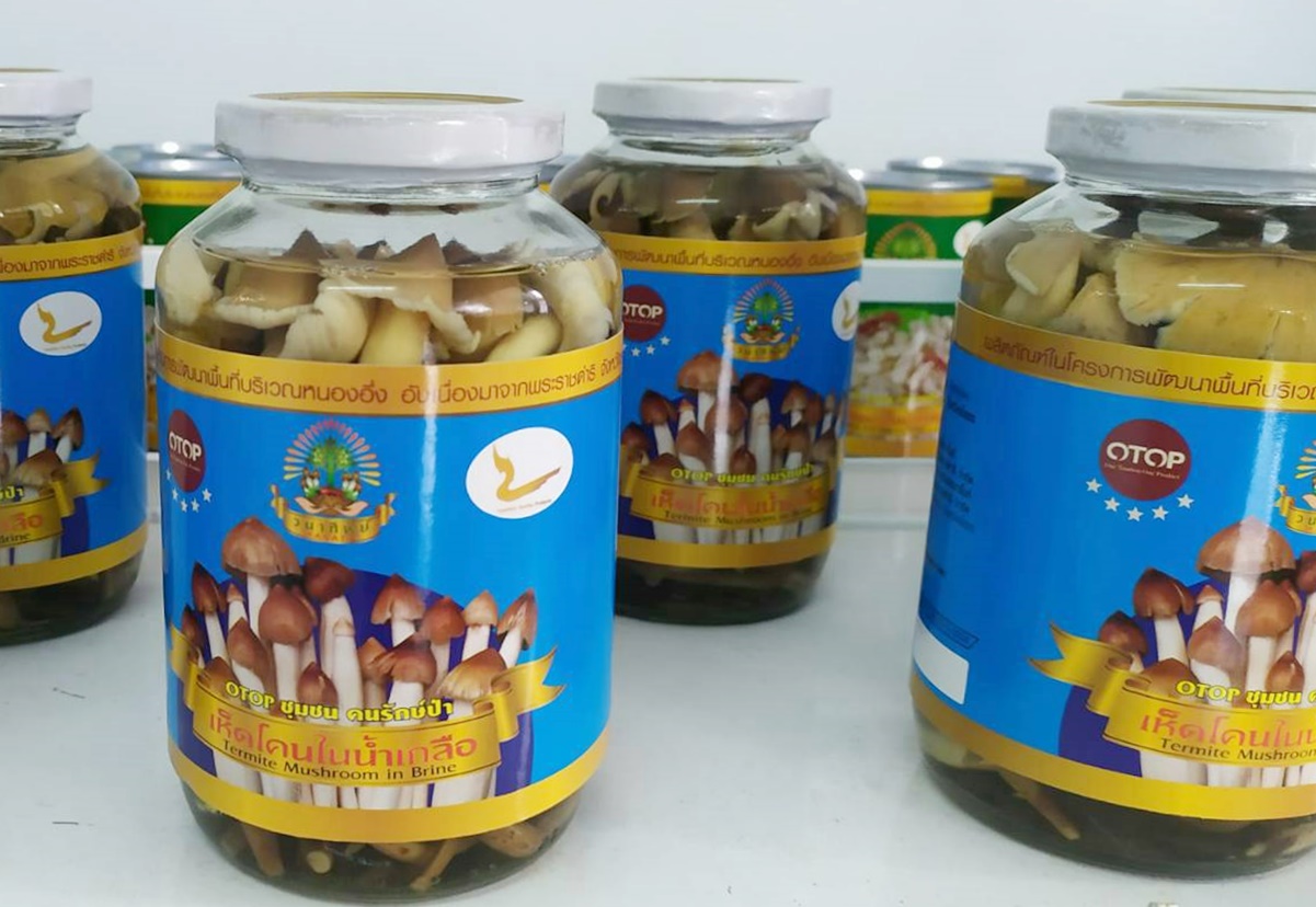 เห็ดโคน-ไข่มดแดงกระป๋อง "วนาทิพย์" ตอบโจทย์ผู้บริโภคได้ทุกฤดูกาล