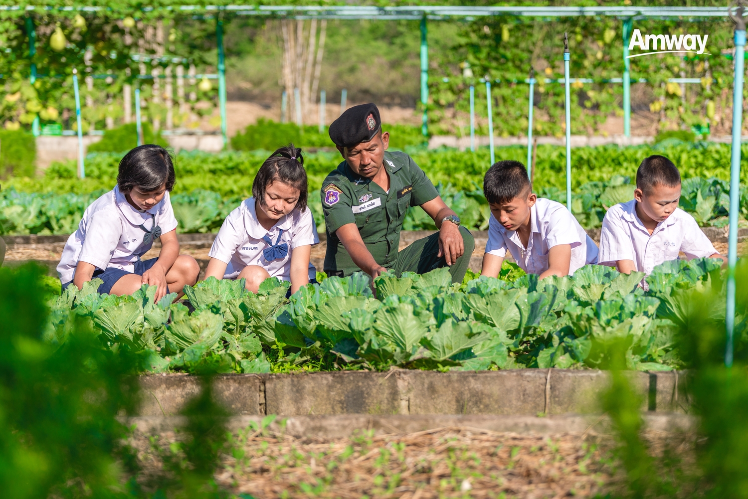 มูลนิธิแอมเวย์เพื่อสังคมไทย เดินหน้า "โครงการฟาร์มสุขภาพของหนู" หนุนแหล่งโภชนาการเพื่อสุขภาพดีอย่างยั่งยืน