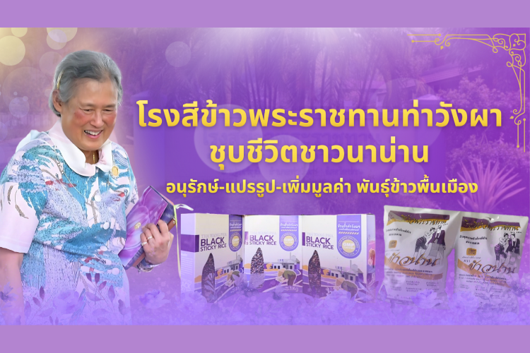 โรงสีข้าวพระราชทานท่าวังผา ชุบชีวิตชาวนาน่าน อนุรักษ์-แปรรูป-เพิ่มมูลค่า พันธุ์ข้าวพื้นเมือง