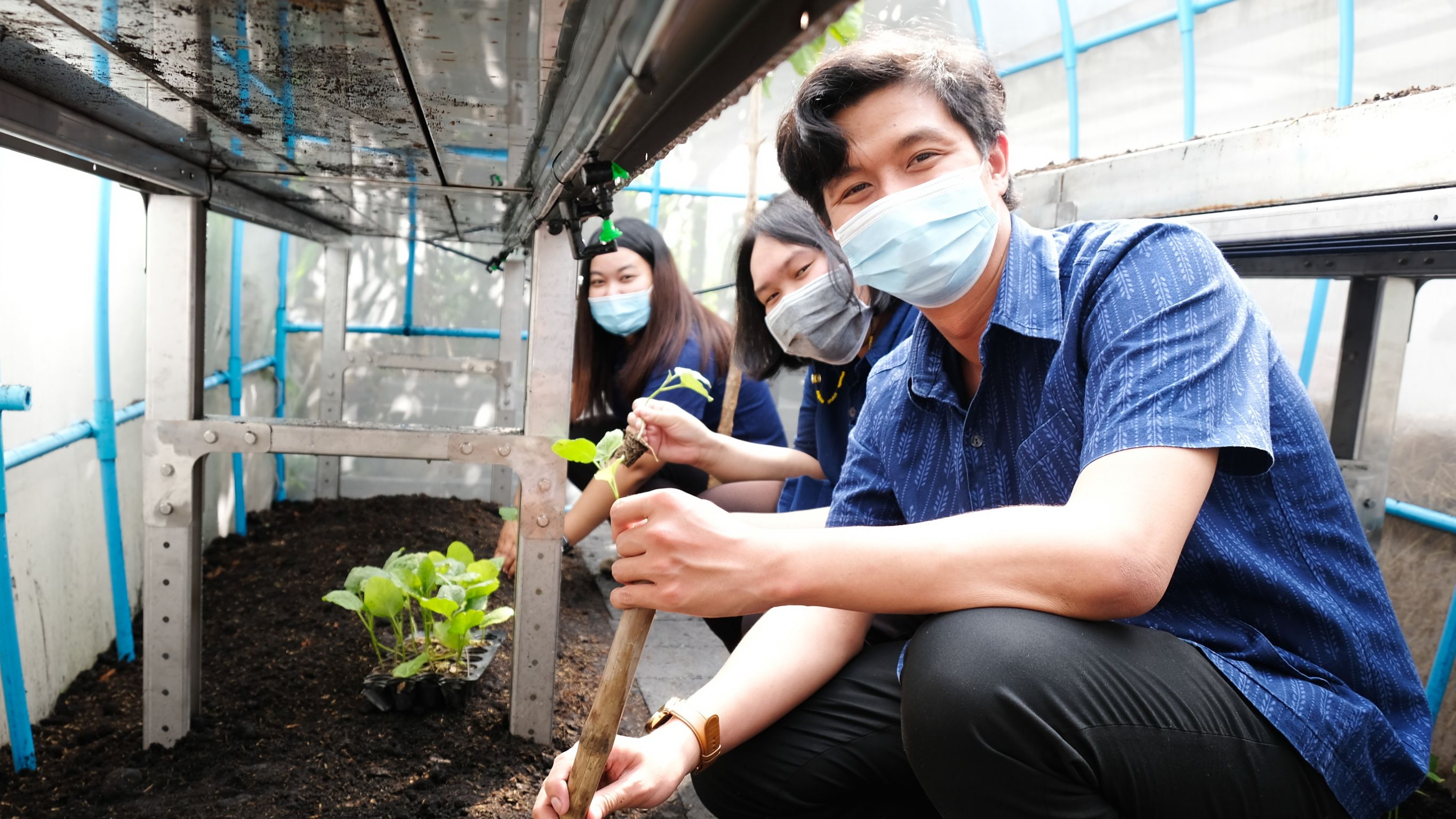 พช.ปทุมธานี ลุยเฟส 2 “ปลูกผักสวนครัว” สร้างความมั่นคงด้านอาหารสู้ภัยโควิด