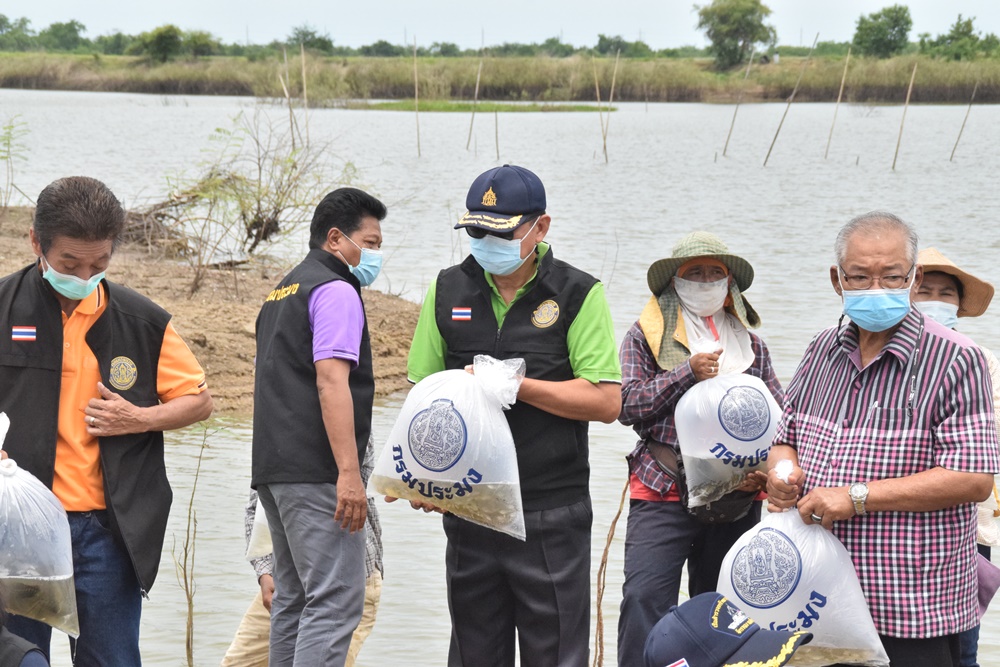สำนักงานประมงอยุธยา ปล่อยพันธ์ุปลากว่า 50,000 ตัว ให้เกิดแหล่งอาหารโปรตีน สร้างรายได้ให้กับคนในชุมชน 