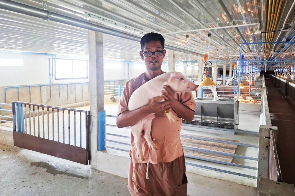 Smart Farm เกษตรกรยุคใหม่ ได้ "ซีพีเอฟ" หนุนก้าวสู่เกษตรเทคโนโลยี Agri Tech