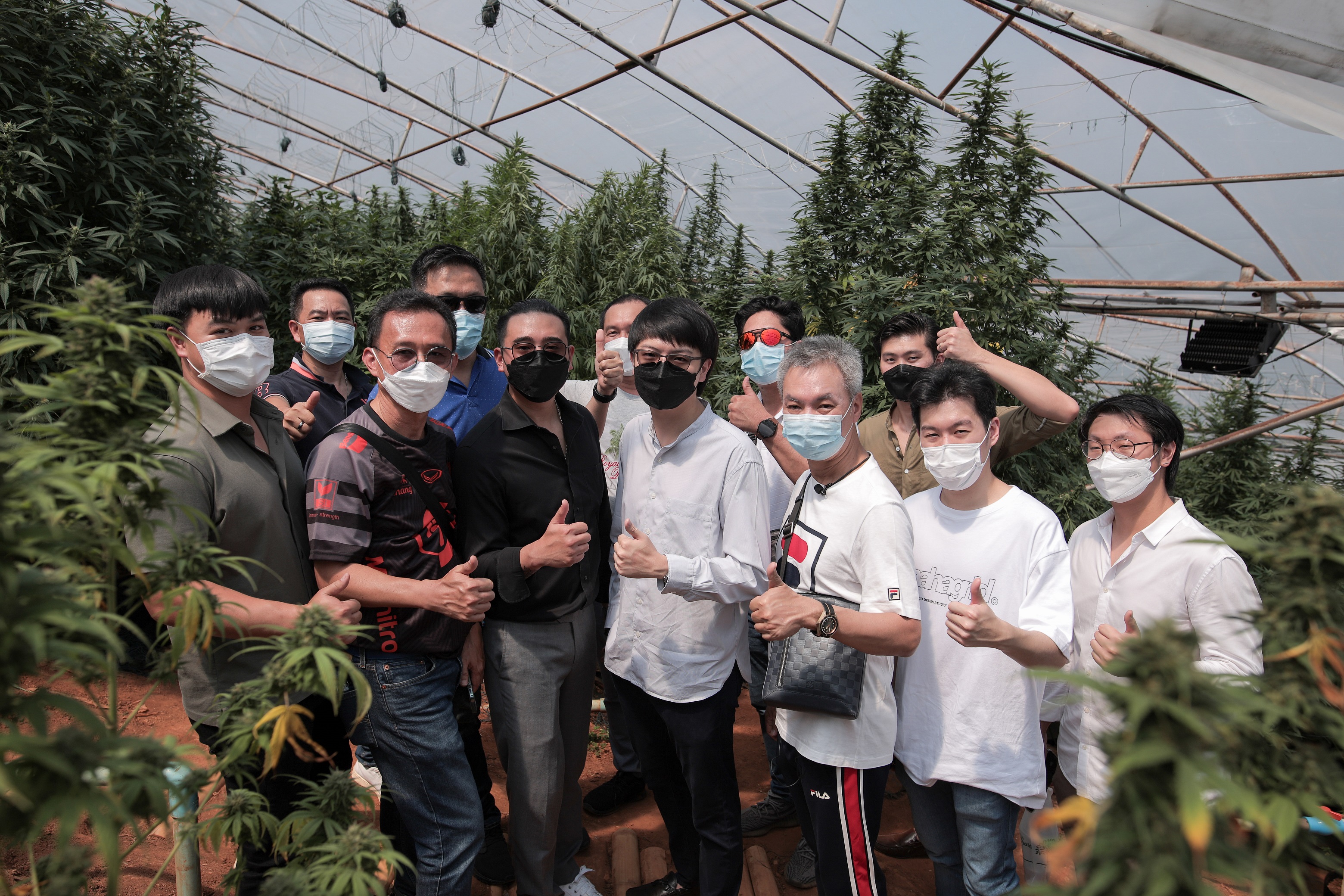 "ALPHAX" ต้อนรับสื่อมวลชนเยี่ยมไร่กัญชง (MJB Farm) ต.โป่งแยง อ.แม่ริม จ.เชียงใหม่