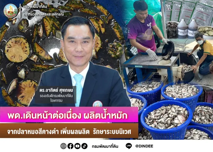 พด. รุกผลิตน้ำหมักจากปลาหมอคางดำ เพิ่มผลผลิต รักษาระบบนิเวศ