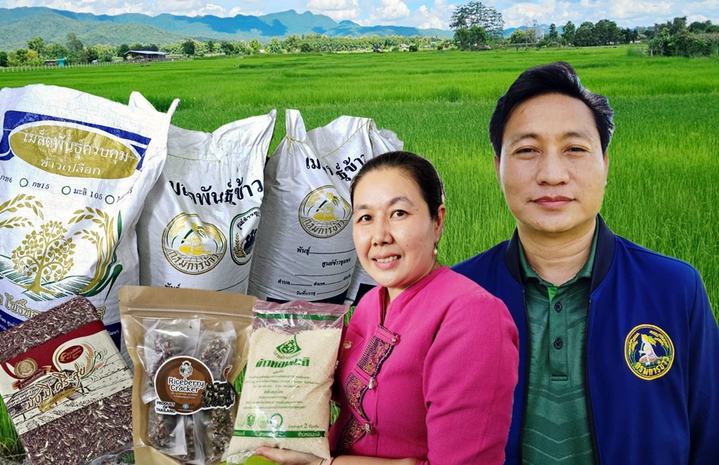 กรมการข้าว ชู "วิสาหกิจชุมชนจุน" ผลิตข้าวอินทรีย์ 5 สายพันธุ์ เพิ่มความนิยมการบริโภคข้าวดอย ดันแบรนด์ “สร้อยศรี” สู่โมเดิร์นเทรด