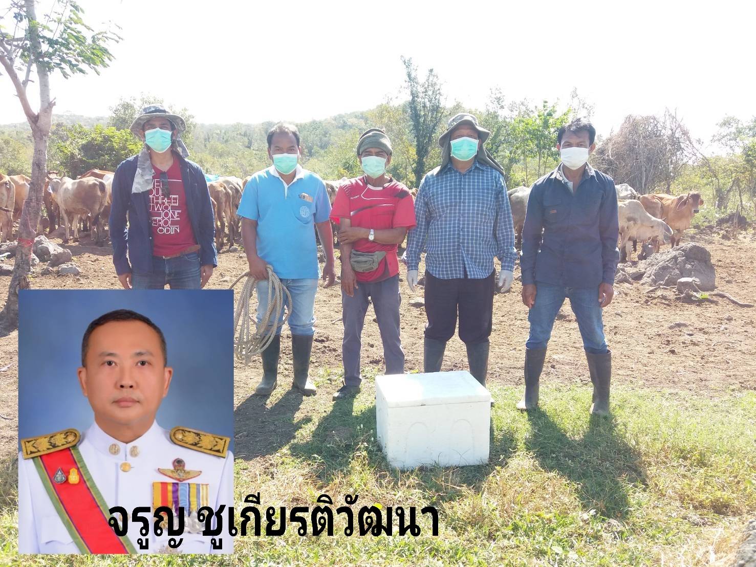 ปศุสัตว์ลพบุรี คุมเข้มป้องกันโรคคอบวมในโค-กระบือ