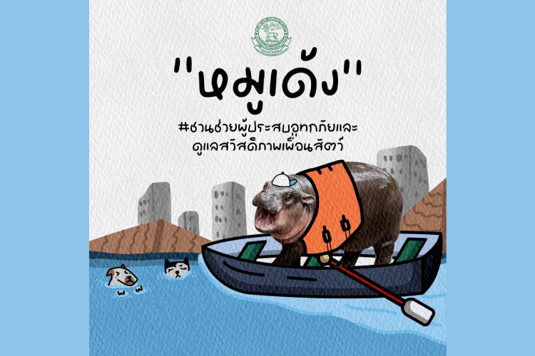 องค์การสวนสัตว์ฯ เปิดบ้านต้อนรับพันธมิตรทำกิจกรรมร่วมกับ “หมูเด้ง” ชวนช่วยผู้ประสบอุทกภัยและดูแลสวัสดิภาพเพื่อนสัตว์