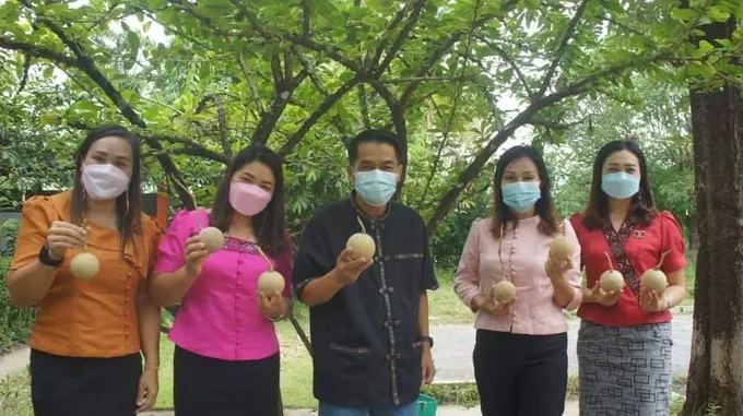 อบต.ดู่ทุ่งสืบสานประเพณีแห่ไฟตูมกาออกพรรษาที่ยโสธร
