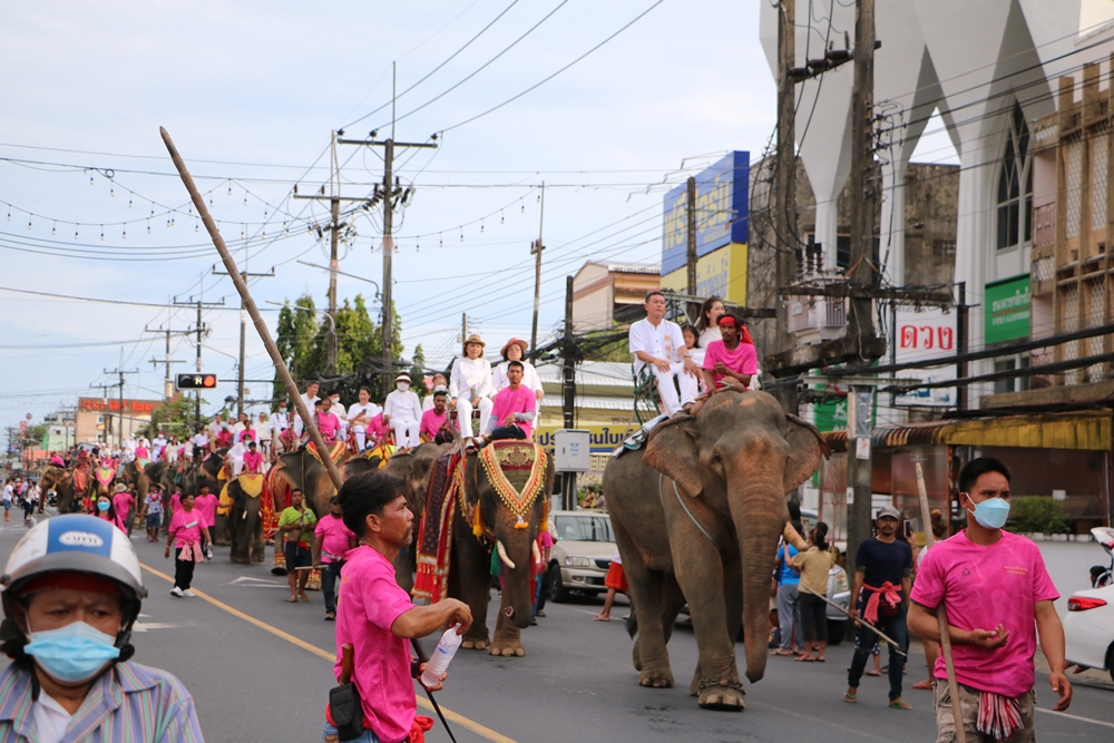 แห่ขบวนช้าง 32 เชือก ชมเมืองพังงา พร้อมร่วมเปิดงาน "สมโภชศาลหลักเมืองพังงาปีที่ 20"