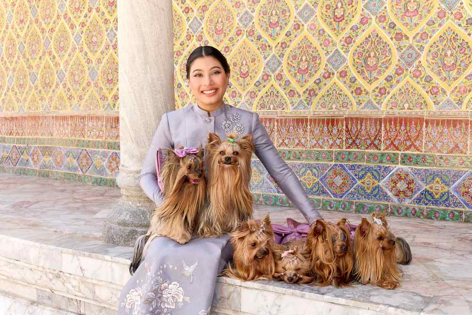 Princess Honour Cup 2026 ครั้งที่5 งานประกวดพันธุ์สุนัขทุกสายพันธุ์