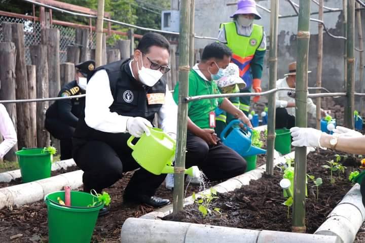 #ดอนเมืองปลูกผักจากเมล็ดพันธุ์ผักพระราชทานฯ พร้อมพัฒนาเป็นศูนย์การเรียนรู้เกษตรอินทรีย์วิถีคน(ดอน)เมือง