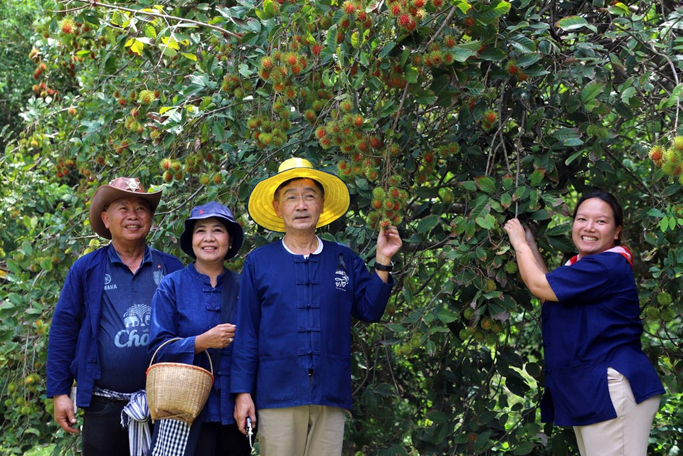 ยโสธรเปิดเทศกาลผลไม้ 2569 ชวนสัมผัสวิถีเกษตร “1 วัน ฉันจะเป็นชาวสวน”