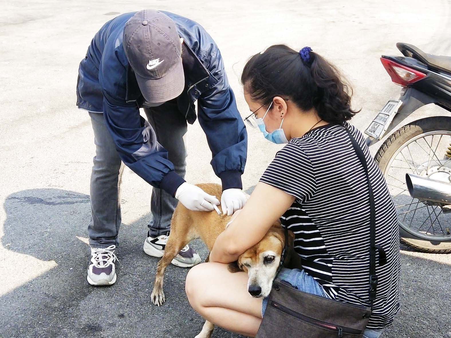 ทม.หัวหิน ระดมฉีดวัคซีนสัตว์เลี้ยงป้องกันโรคพิษสุนัขบ้า
