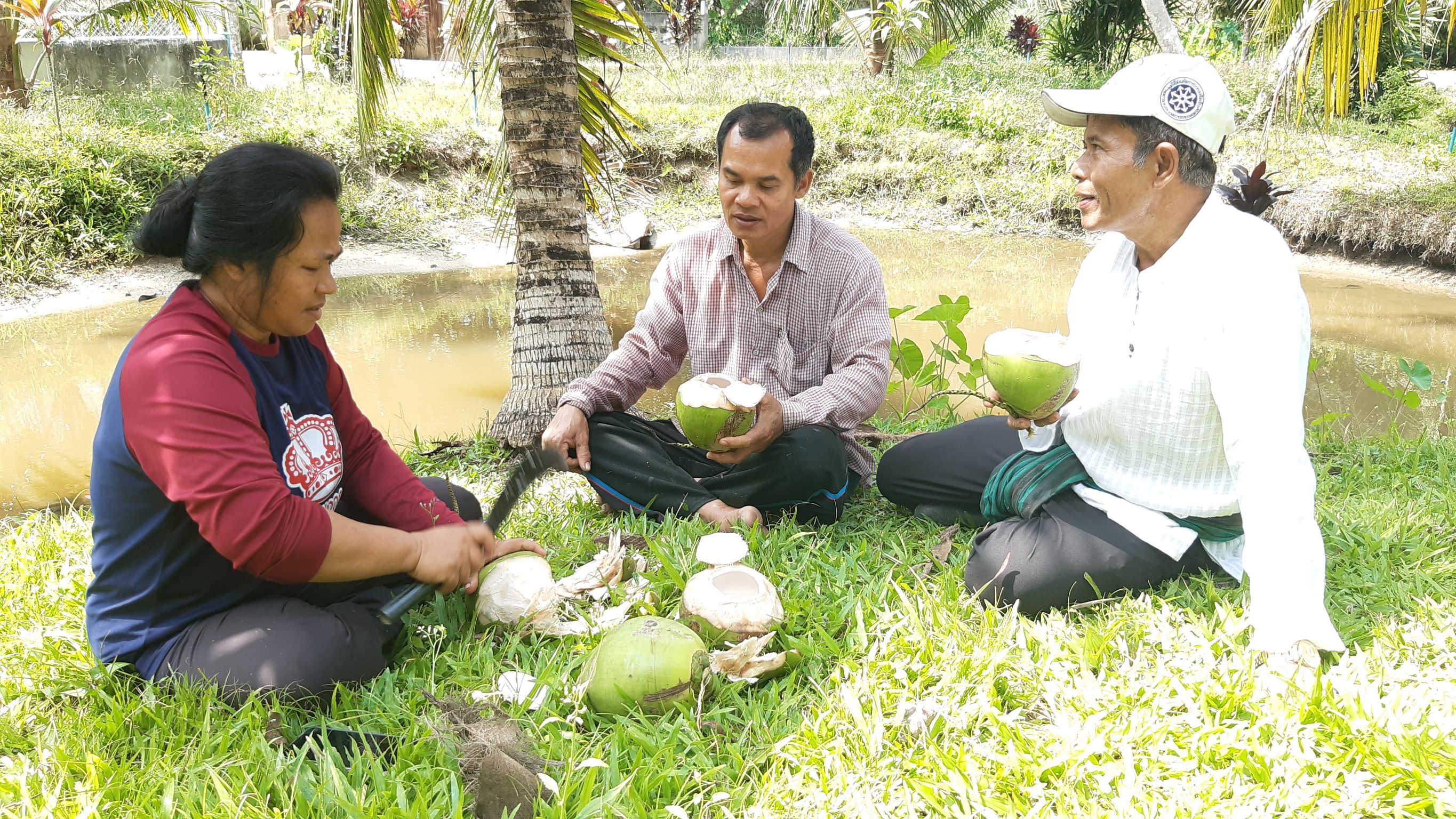 ยึดศาสตร์พระราชา  นำเครือข่ายเกษตรธรรมชาติ ไม่ได้รับผลกระทบโควิด 19 ที่ระบาดทั่วโลก  