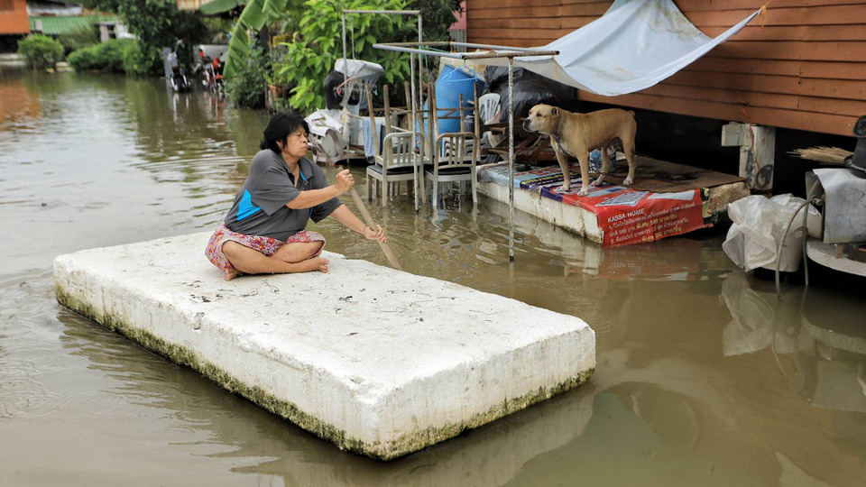 อย่าประมาท! "ปภ."เตือน 7 วิธีเอาชีวิตรอดช่วงน้ำท่วม หลีกไฟรั่ว–งูพิษ–กระแสน้ำพัดแรง