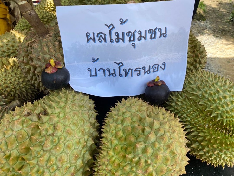 ผลผลิตทุเรียน 85 ตัน ต.สองพี่น้อง อ.ท่าใหม่ จ.จันทบุรี หลังมีน้ำสมบูรณ์