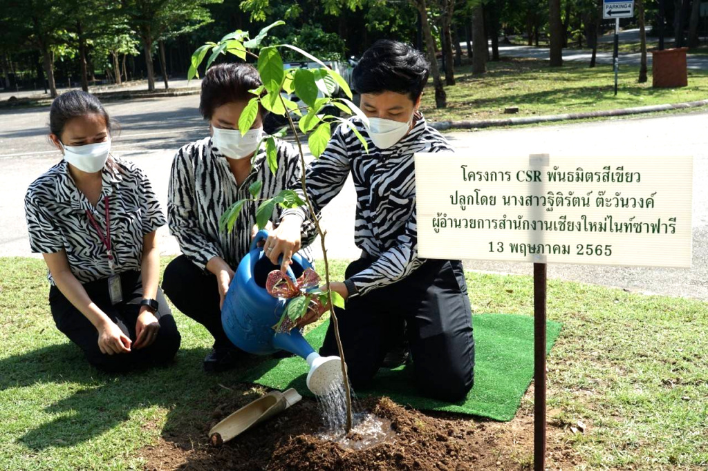 เชียงใหม่ไนท์ซาฟารี จัดกิจกรรม “ปลูกต้นไม้” เพิ่มพื้นที่สีเขียว 
