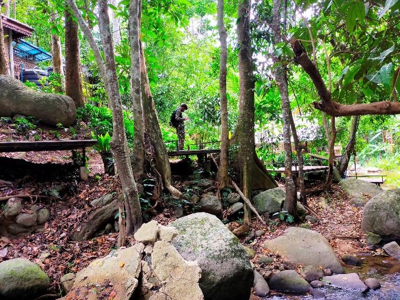 อุทยานฯ ตรวจสอบรีสอร์ทปางไฮ  ส่งต่อกรมป่าไม้ดำเนินการตามกฎหมายต่อไป