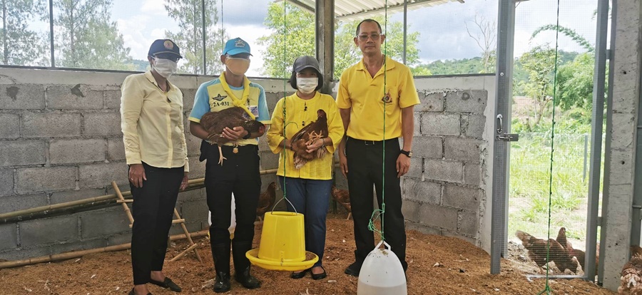 กรมปศุสัตว์ ตามรอยพระราชดำริหนุนคนว่างงาน “เลี้ยงหมูหลุม-ไก่ไข่อารมณ์ดี” สร้างรายได้กู้วิกฤติโควิด-19