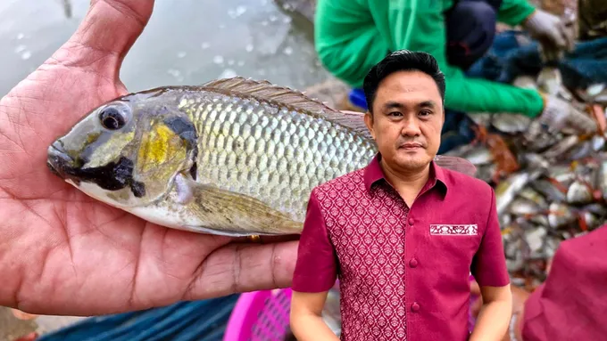 ประมงเอาจริง!! “ลงแขก ลงคลอง” นำร่องจับปลาหมอสีคางดำ 5 จังหวัด
