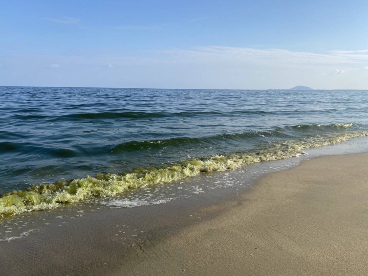 "จนท."เร่งพิสูจน์น้ำทะเลสีเขียวคล้ำชายหาดบ้านกรูด หวั่นเป็นคราบน้ำมันเรือป.อันดามัน 2อับปาง 
