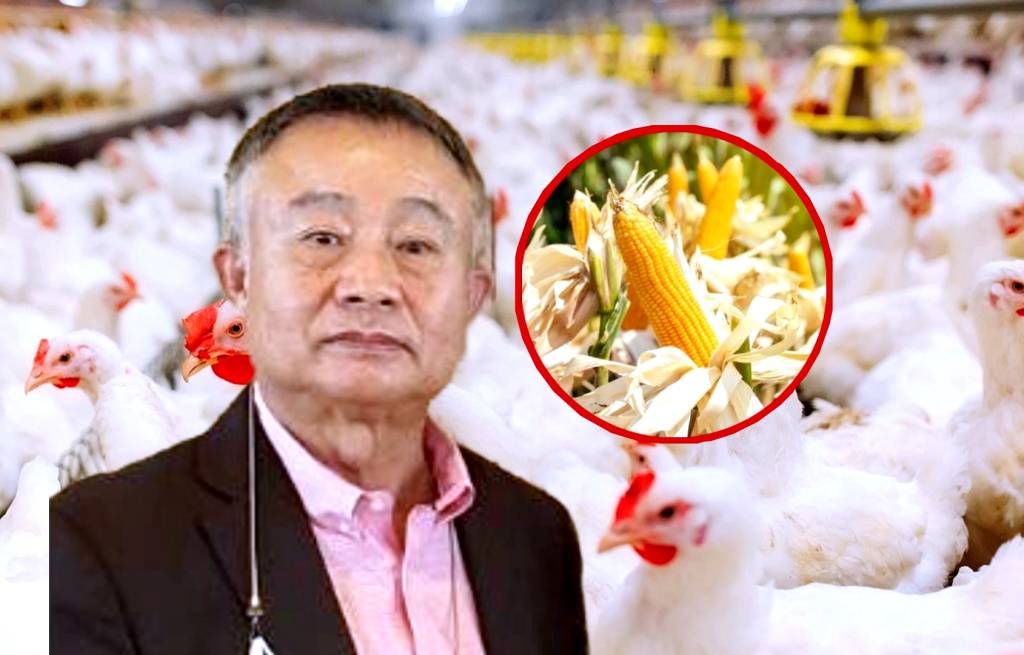ส.ไก่เนื้อ ชวนคนไทยกินไก่ สร้างโปรตีนแทนหมู พร้อมช่วยเกษตรกรนับหมื่นราย
