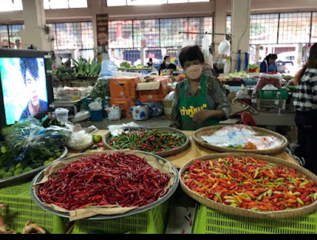 ราคาพริกยะลาพุ่งปรี๊ด กิโลกรัมละกว่า 200 บาทมะเขือเทศไม่น้อยหน้าปรับขึ้นเช่นกัน