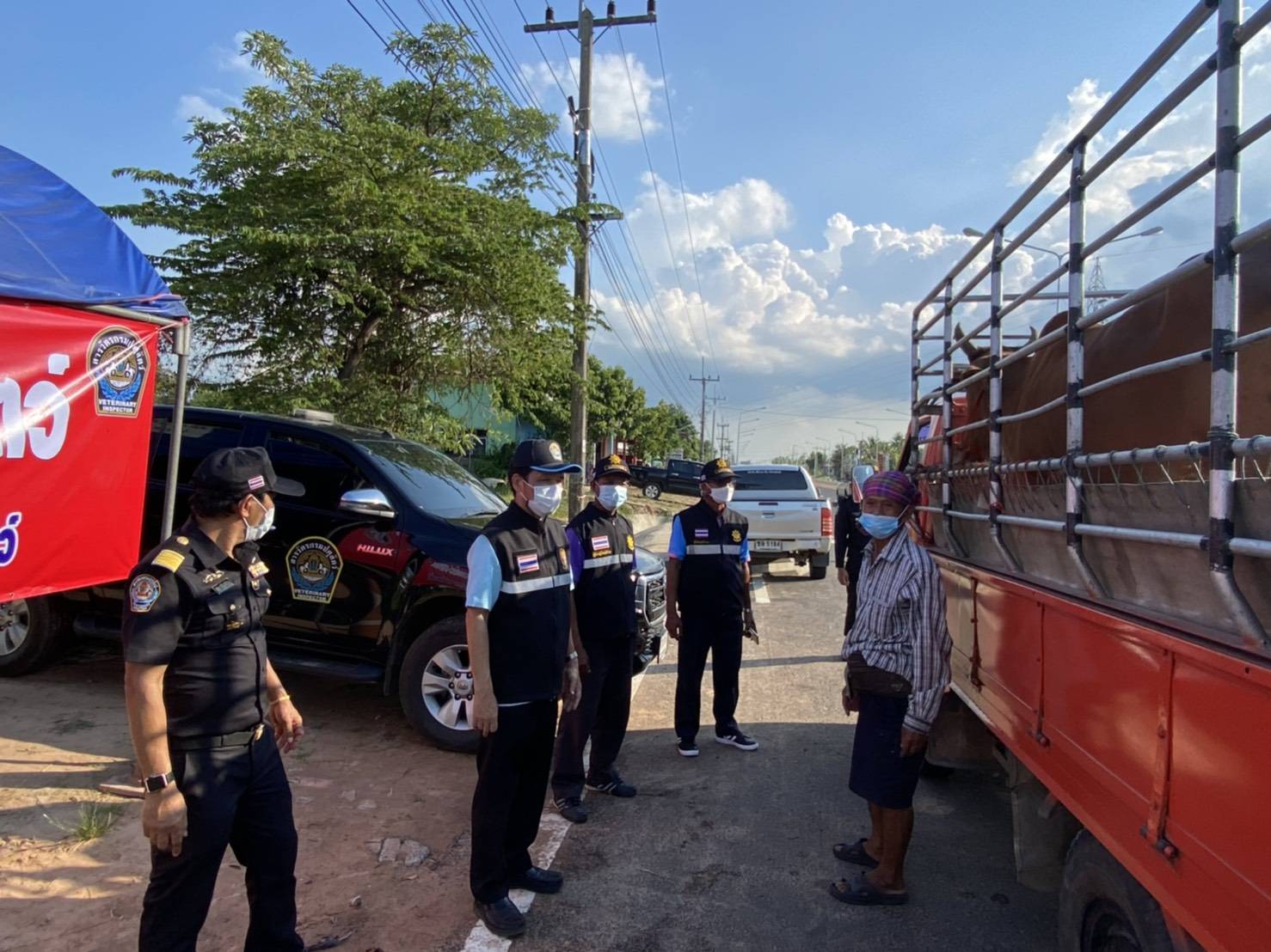 ปศุสัตว์ยโสธรร่วมด่านกักกันสัตว์และผู้นำหมู่บ้าน  ตรวจรถบรรทุกป้องกันการลักลอบเคลื่อนย้ายสัตว์