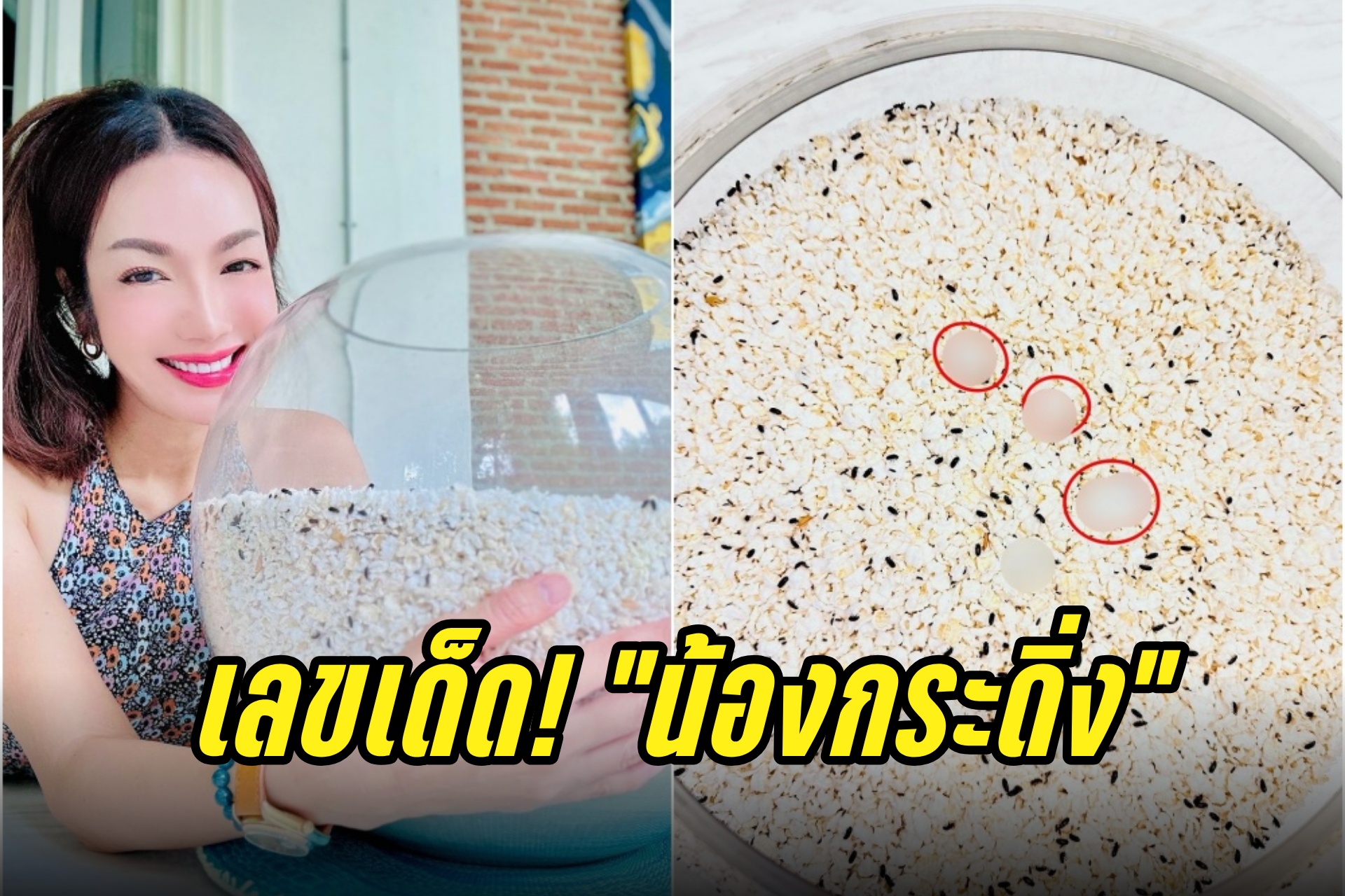 โค้งสุดท้าย! "อ๋อม สกาวใจ" ปล่อยเลขเด็ด "น้องกระดิ่ง"แฟนๆแห่ซูมเลข
