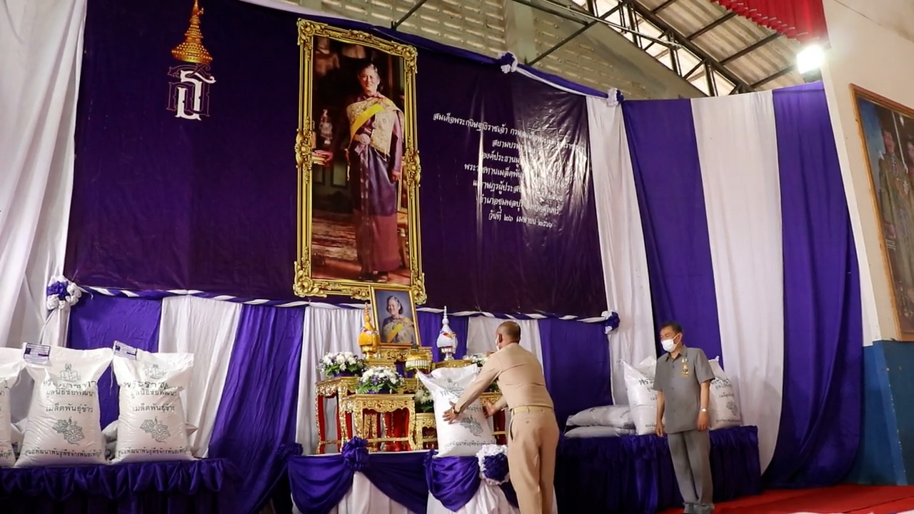 กรมสมเด็จพระเทพฯ พระราชทานเมล็ดพันธุ์ข้าวหอมมะลิ 105 แก่เกษตรกรและราษฎรผู้ประสบภัย 3,699 ราย ใน อ.ชุมพลบุรี