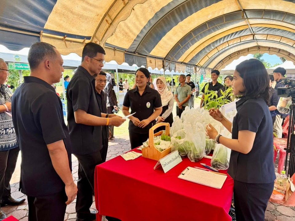 เติมความรู้เกษตรถึงชุมชน! ศูนย์ขยายพันธุ์พืชที่ 2 ตรัง ถ่ายทอดเทคนิคปลูกพืช หนุนเกษตรกรสตูล 