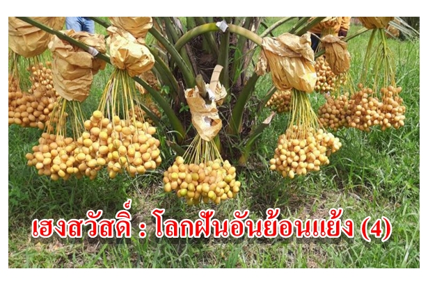 เฮงสวัสดิ์ : โลกฝันอันย้อนแย้ง(4)