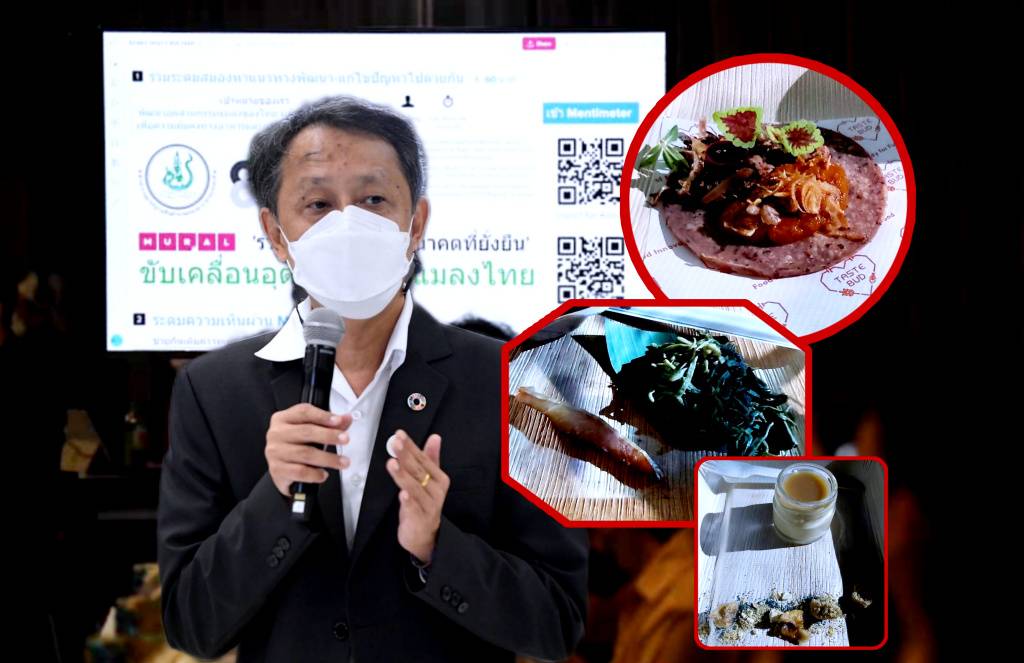 มกอช. ระดมความเห็น ลุยดัน “แมลง” สู่โต๊ะอาหาร-ทดแทนวัตถุดิบอาหารสัตว์