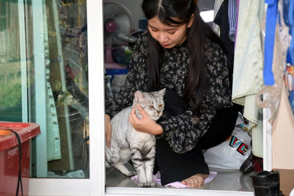 ครูสาวกาฬสินธุ์สุดช้ำใจ!! น้องแมวหัวนมขาด-เขี้ยวหัก หลังพาไปอาบน้ำตัดขนที่คลินิก