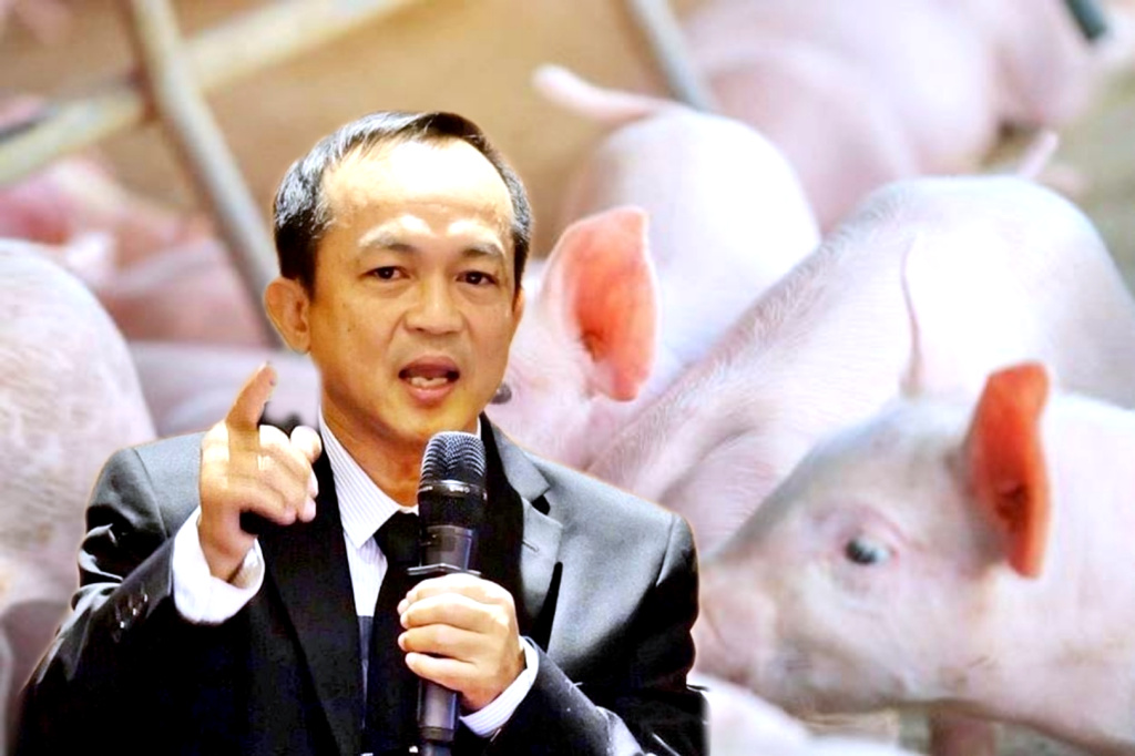เกษตรกรเลี้ยงหมูระทม โรคหมูทำผลผลิตลดกว่า 30% ต้นทุนเพิ่ม ซ้ำขาดทุนสะสมกว่า 3 ปี