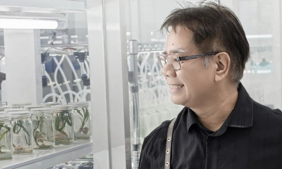 "ดร.ธรณ์" เผย "ไทย" เพาะเนื้อเยื่อหญ้าทะเลสำเร็จแลปเดียวในโลก
