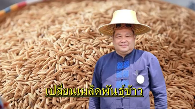 "อธิบดีข้าว" ชวนชาวนาเปลี่ยนเมล็ดพันธุ์ฯ มุ่งยกระดับรายได้ กระจายเมล็ดพันธุ์ดีสู่ชุมชน