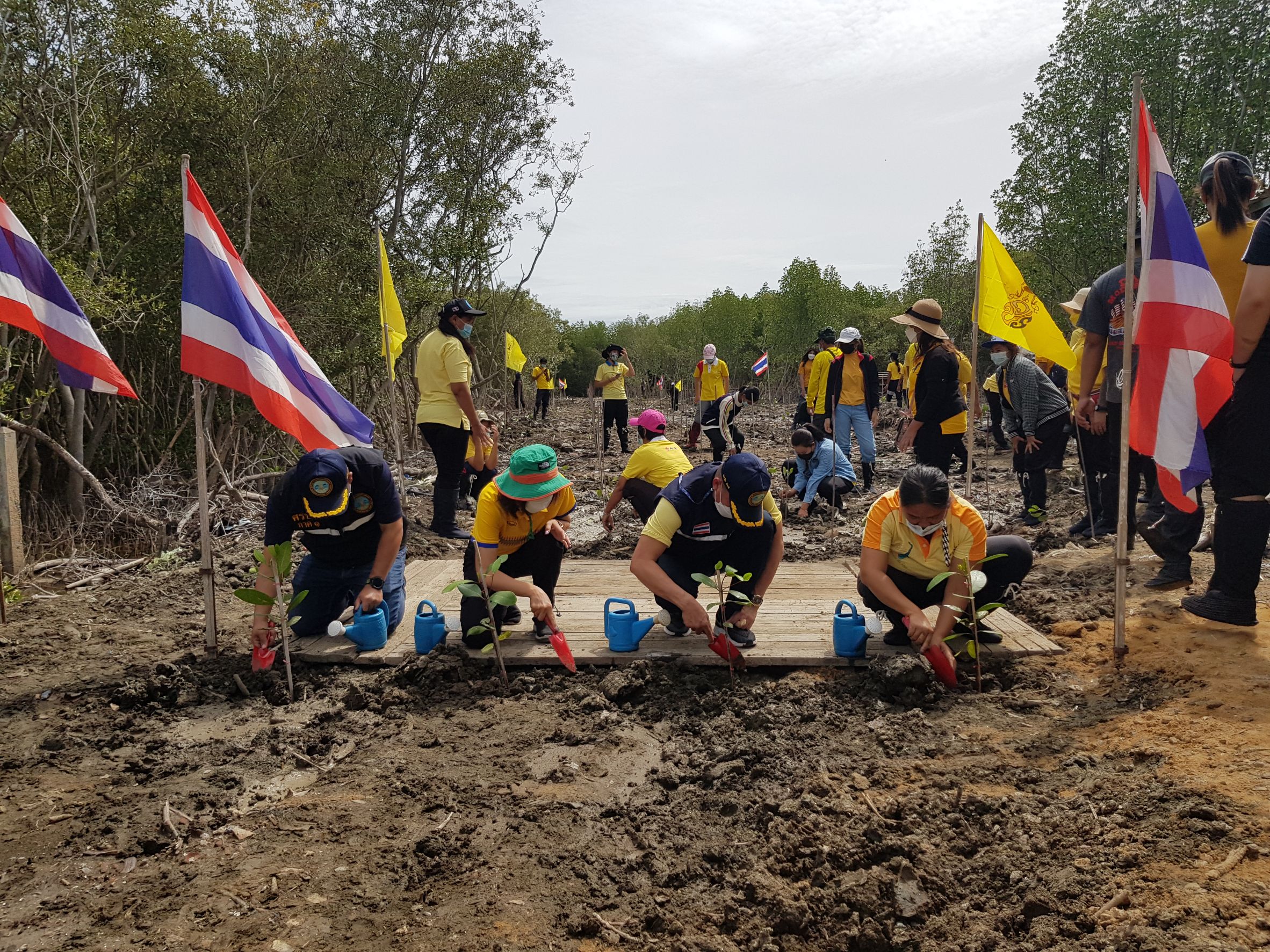 ศรชล.สร้างการตระหนักรู้ร่วมปลูกป่าชายเลน  อนุรักษ์ฟื้นฟูธรรมชาติชายฝั่งทะเล