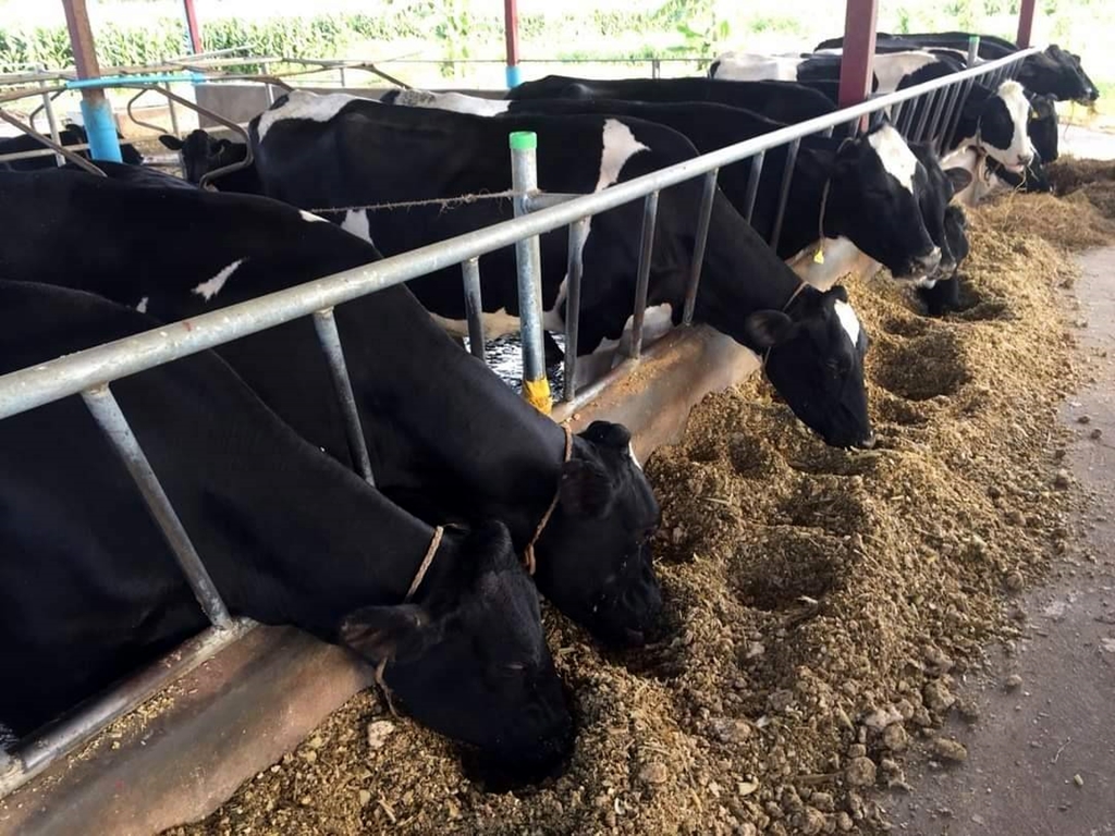 อ.ส.ค.รุกพัฒนาอุตสาหกรรมโคนมไทย ตั้งเป้าปี 67 ปั้นเกษตรกรโคนมสู่ Smart Farmer เพิ่ม 2.3 พันราย