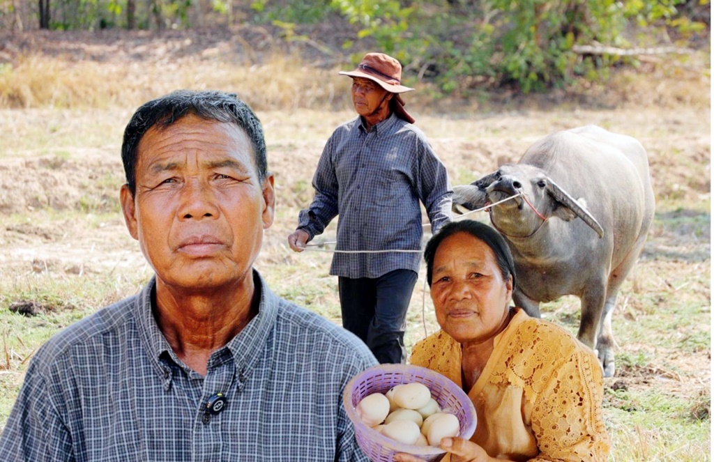 เกษตรกรในเขตปฏิรูปที่ดิน จ.สุรินทร์ พลิกชีวิตด้วยเกษตรทฤษฎีใหม่ 