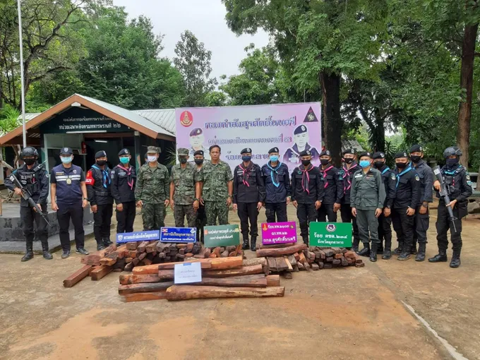 ทหารพราน จ.มุกดาหาร ลุยตรวจยึดไม้พะยูงเตรียมขนข้ามโขงส่งขายประเทศเพื่อนบ้าน