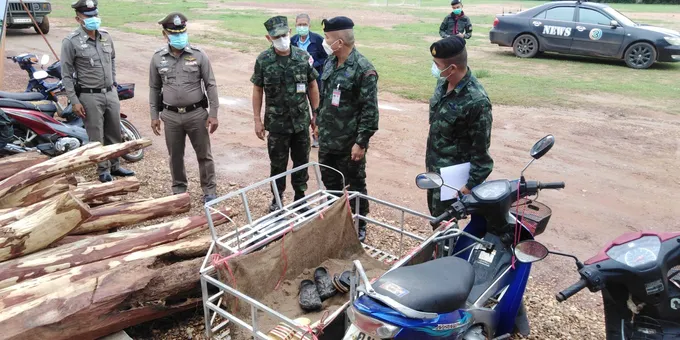 ทหาร กกล.สุรนารี ตรวจยึดไม้พะยูงริมโขงพร้อมผู้ต้องหา 2 คน